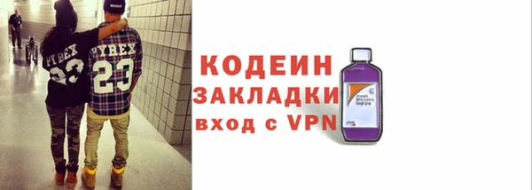 ГАЛЛЮЦИНОГЕННЫЕ ГРИБЫ Каменка