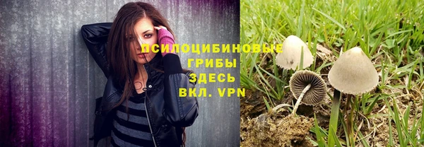 мяу мяу кристалл Инта