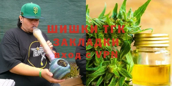 ГАЛЛЮЦИНОГЕННЫЕ ГРИБЫ Каменка