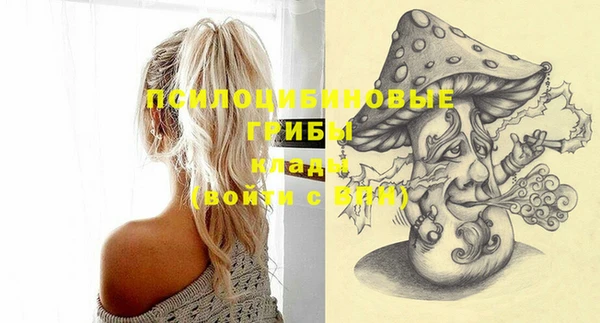 меф Инсар