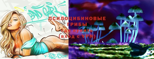 метамфетамин Каменск-Шахтинский
